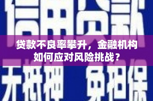 济宁贷款不良率攀升，金融机构如何应对风险挑战？