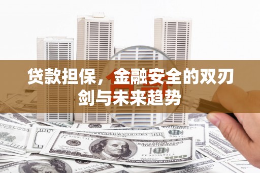 济宁贷款担保，金融安全的双刃剑与未来趋势