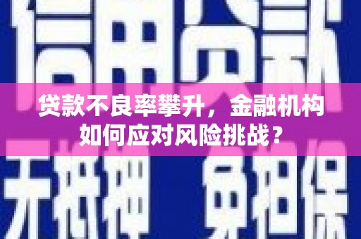济宁贷款不良率攀升，金融机构如何应对风险挑战？