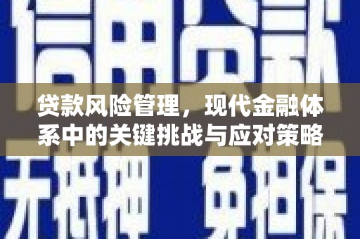 济宁贷款风险管理，现代金融体系中的关键挑战与应对策略