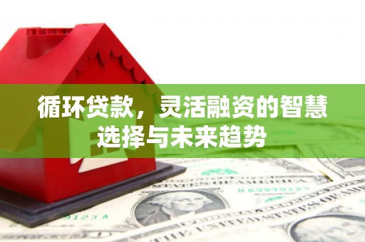 济宁循环贷款，灵活融资的智慧选择与未来趋势