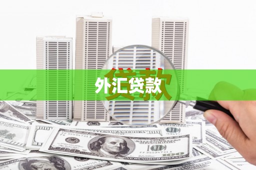 济宁外汇贷款