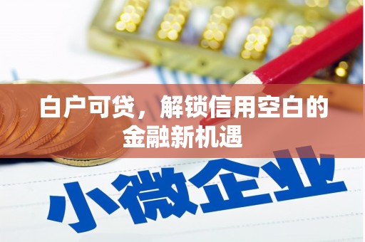 济宁白户可贷，解锁信用空白的金融新机遇