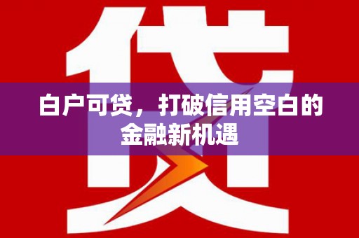济宁白户可贷，打破信用空白的金融新机遇