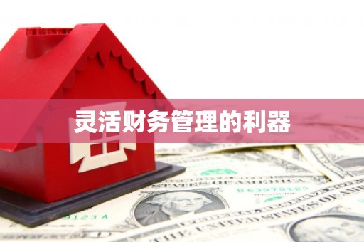 济宁灵活财务管理的利器