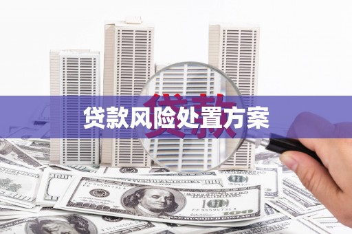 济宁贷款风险处置方案