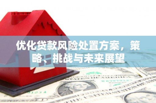 济宁优化贷款风险处置方案，策略、挑战与未来展望