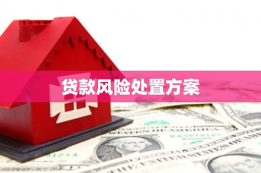 济宁贷款风险处置方案