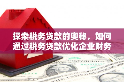 济宁探索税务贷款的奥秘，如何通过税务贷款优化企业财务