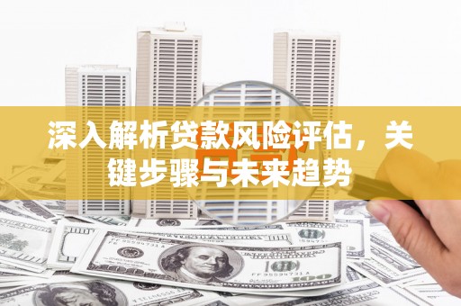济宁深入解析贷款风险评估，关键步骤与未来趋势