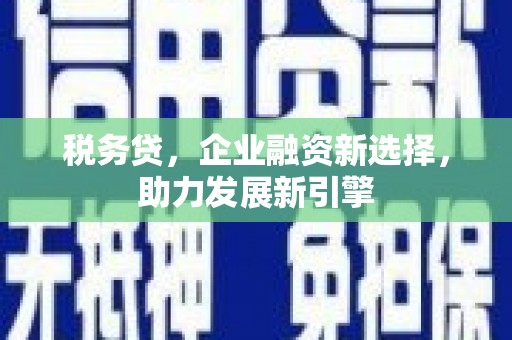 济宁税务贷，企业融资新选择，助力发展新引擎