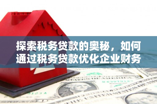 济宁探索税务贷款的奥秘，如何通过税务贷款优化企业财务