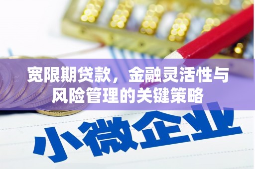 济宁宽限期贷款，金融灵活性与风险管理的关键策略