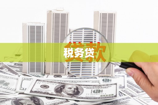 济宁税务贷