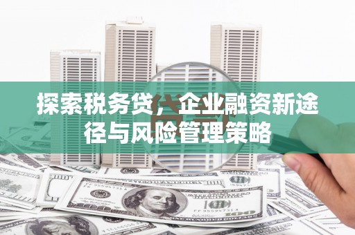 济宁探索税务贷，企业融资新途径与风险管理策略