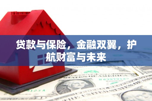济宁贷款与保险，金融双翼，护航财富与未来