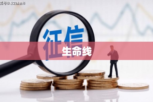 济宁生命线