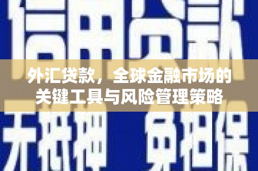济宁外汇贷款，全球金融市场的关键工具与风险管理策略