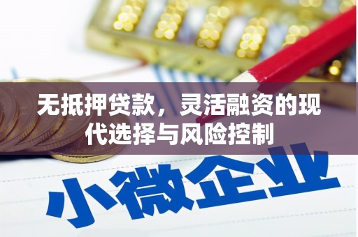 济宁无抵押贷款，灵活融资的现代选择与风险控制