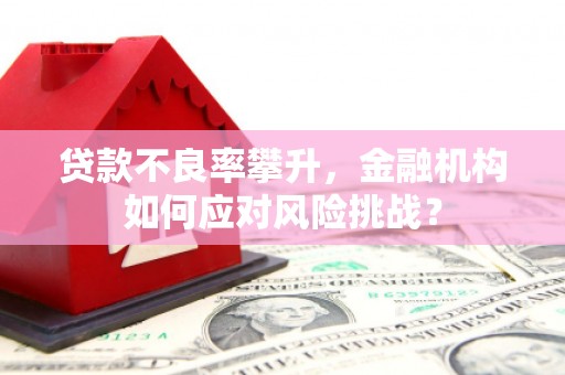 济宁贷款不良率攀升，金融机构如何应对风险挑战？