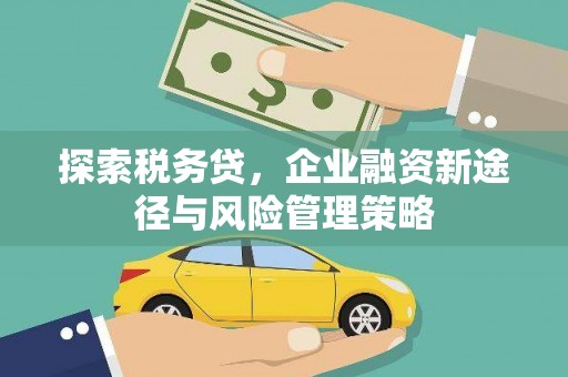 济宁探索税务贷，企业融资新途径与风险管理策略