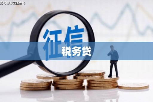 济宁税务贷
