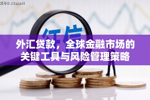 济宁外汇贷款，全球金融市场的关键工具与风险管理策略