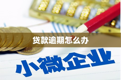 济宁贷款逾期怎么办