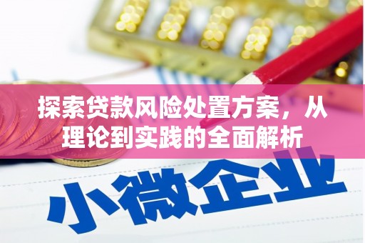 济宁探索贷款风险处置方案，从理论到实践的全面解析