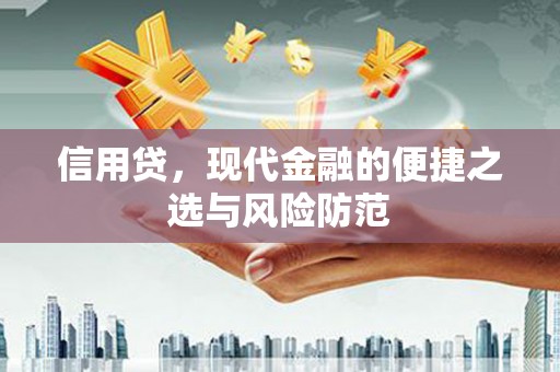 济宁信用贷，现代金融的便捷之选与风险防范