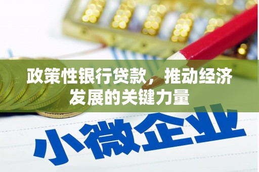 济宁政策性银行贷款，推动经济发展的关键力量