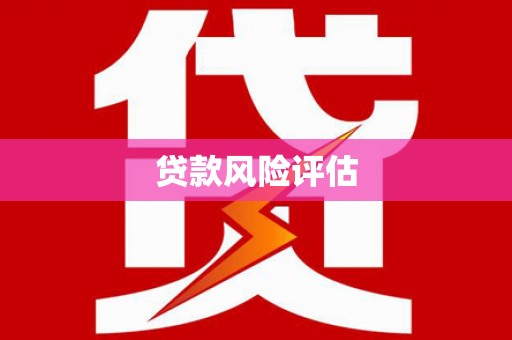 济宁贷款风险评估