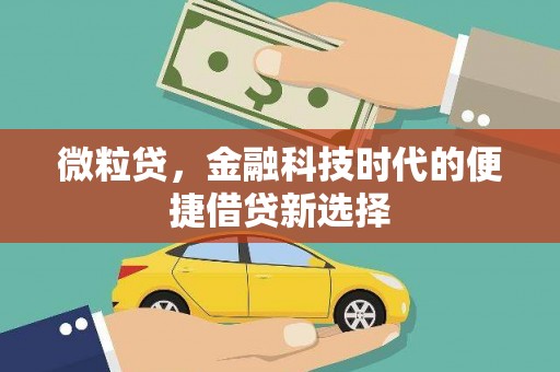 济宁微粒贷，金融科技时代的便捷借贷新选择