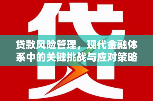 济宁贷款风险管理，现代金融体系中的关键挑战与应对策略