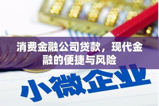济宁消费金融公司贷款，现代金融的便捷与风险