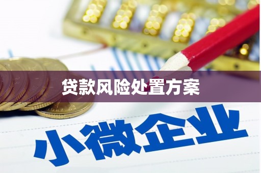 济宁贷款风险处置方案