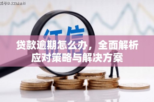 济宁贷款逾期怎么办，全面解析应对策略与解决方案
