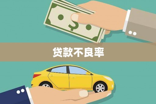 济宁贷款不良率
