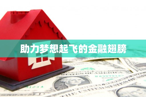 济宁助力梦想起飞的金融翅膀