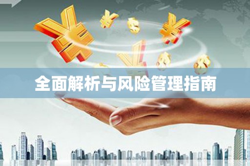 济宁全面解析与风险管理指南