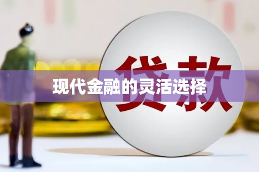 济宁现代金融的灵活选择