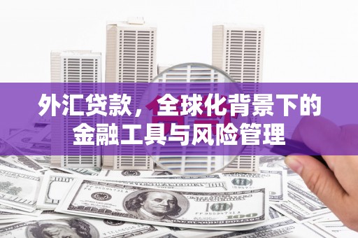 济宁外汇贷款，全球化背景下的金融工具与风险管理